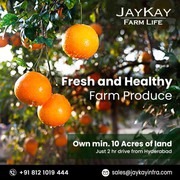 Agriculture land for sale near Hyderabad | Jaykay Infra