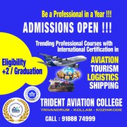 Trident Aviation College