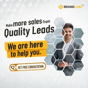 Brandlabz | Digital Marketing Company in Kerala