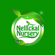  Nellickal Nursery - best plant nursery in Kerala