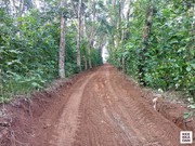 80 Cents,  Residential Land for Sale: Thiruvalla