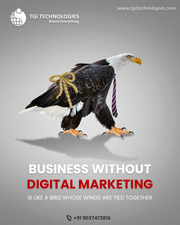 Digital Marketing Companies in Kerala TGI